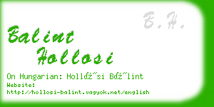 balint hollosi business card